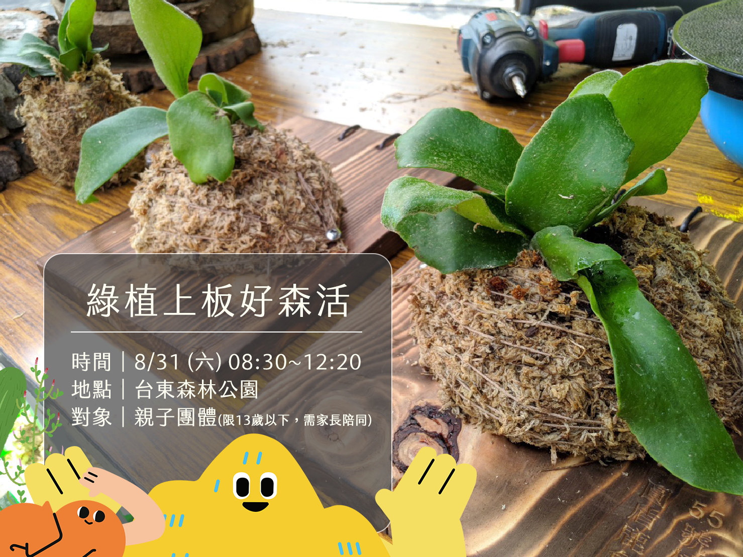 綠植上板好森活